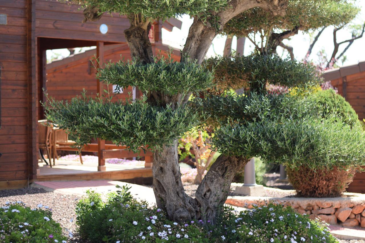 Camping Ribamar Alcoceber Экстерьер фото